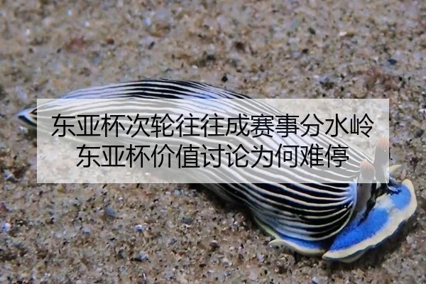 东亚杯次轮往往成赛事分水岭 东亚杯价值讨论为何难停